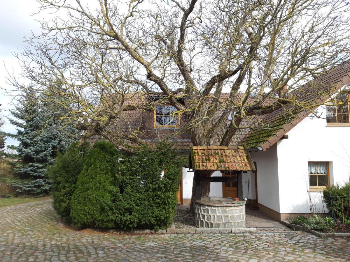 Ein Bett Im Kornfeld - Haus Morgensonne - Mit Innenpool Schonfeld  Kültér fotó