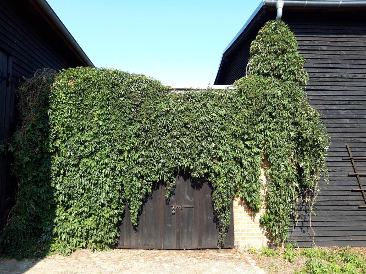 Ein Bett Im Kornfeld - Haus Morgensonne - Mit Innenpool Schonfeld  Kültér fotó
