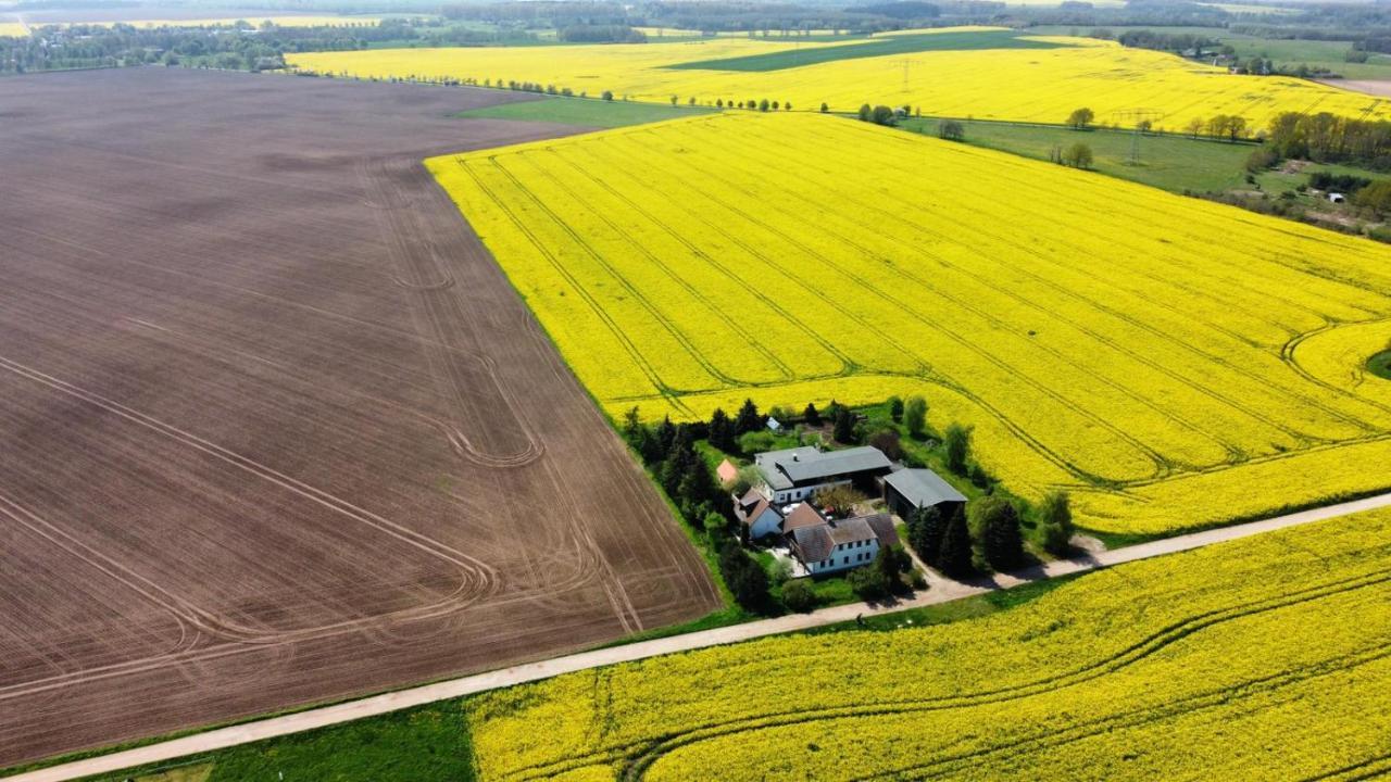 Ein Bett Im Kornfeld - Haus Morgensonne - Mit Innenpool Schonfeld  Kültér fotó