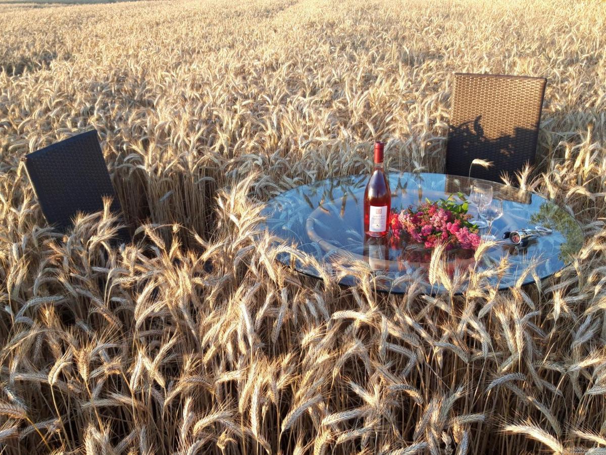 Ein Bett Im Kornfeld - Haus Morgensonne - Mit Innenpool Schonfeld  Kültér fotó